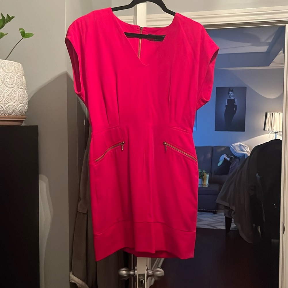Fuscia French Connection Dress